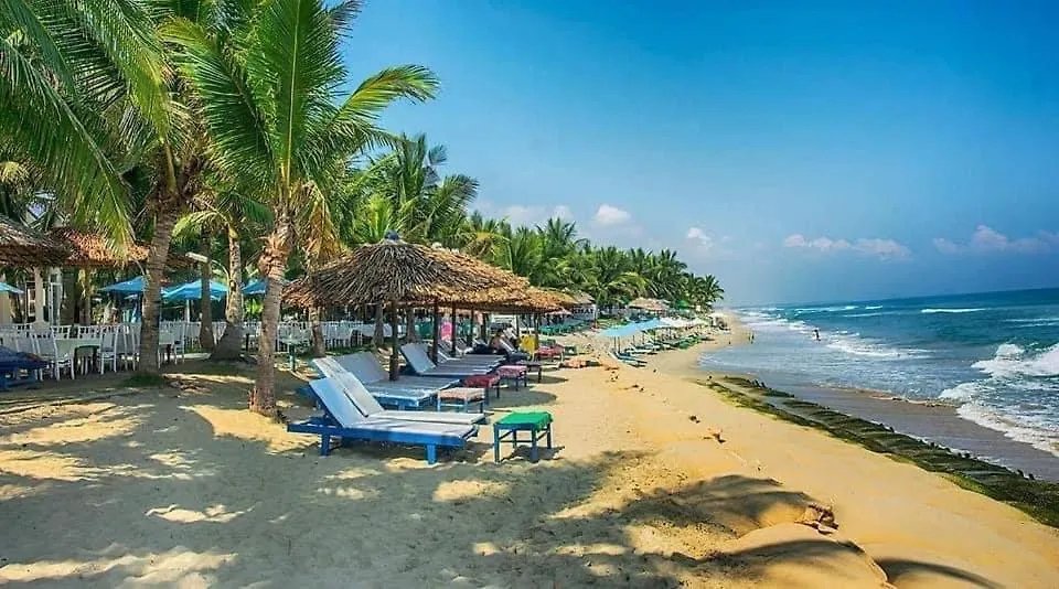 Blue Whale Homestay Хойан